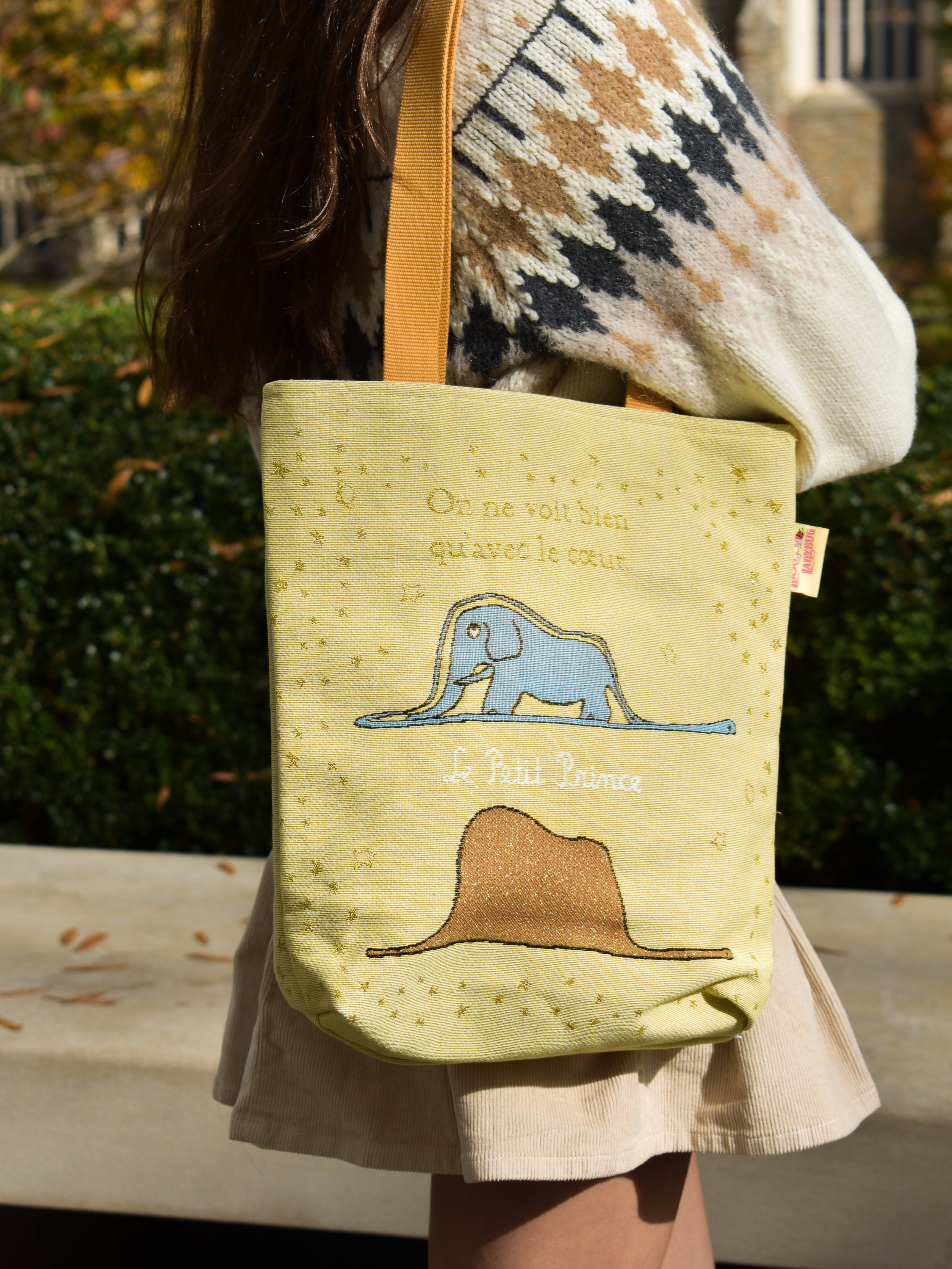 Person holding a tote bag with animal illustrations outdoors